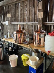 Braufestival-Bilder-2025-46